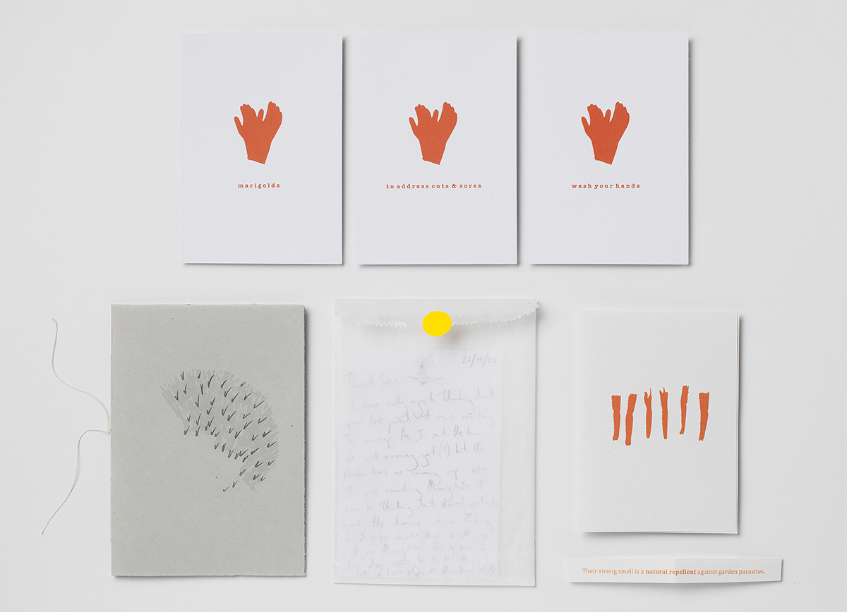 © fb artist book marigolds photo © shannon tofts